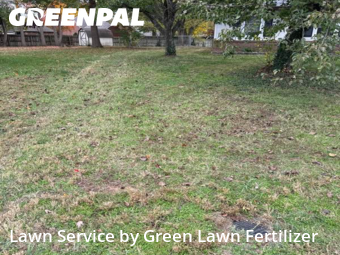 Lawn Cut nearby Springfield, MO, 