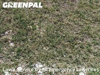 Lawn Service nearby Argyle, TX, 