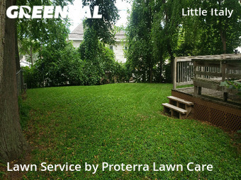 Lawn Service nearby Omaha, IA, 