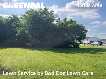 Lawn Mow nearby New Orleans, LA, 