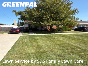 Yard Services in Eastpointe, 48021, Yard Grooming by S&S Family Lawn Care, work completed in Nov , 2025