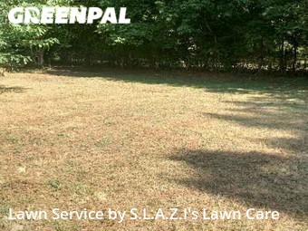 Yard Mowing nearby Jackson, TN, 