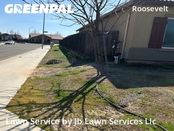 lawn-care-experts-in-Visalia-CA
