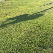 local-lawn-cutting-services-in-The Villages-FL