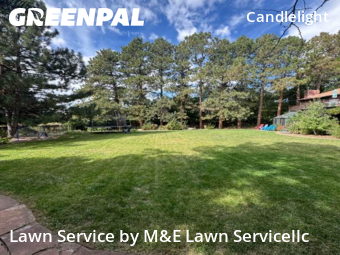 Yard Cutting nearby Arvada, CO, 