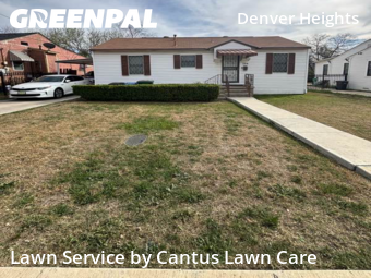 Lawn mowed in San Antonio, 78210