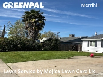 Work completed by yard-maintenance-professionals-in-Carmichael-CA