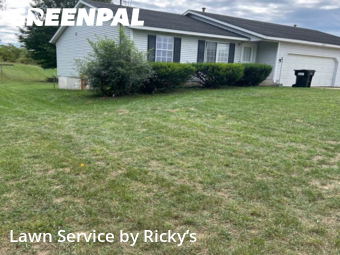 Lawn Mowing Service nearby Dorr, MI, 
