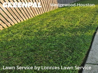 Lawn Care nearby Nashville, TN, 