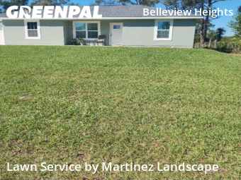Yard Mowing nearby Summerfield, FL, 