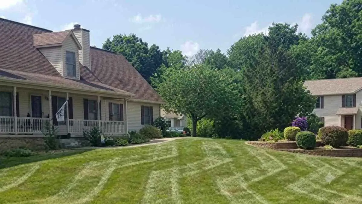 What are the best granular fertilizers on the market for your lawn? By Greenpal