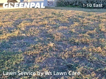 Lawn Cut nearby San Antonio, TX, 