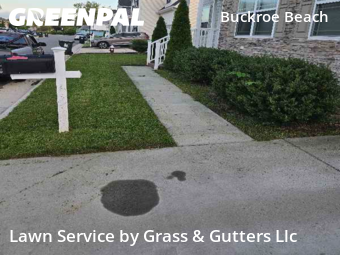 Lawn Care nearby Hampton, VA, 
