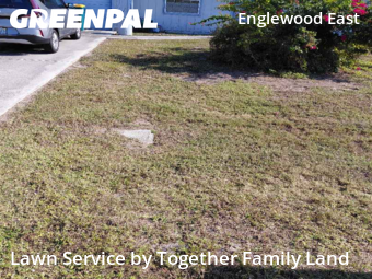 Yard Maintenance in Port Charlotte, 33981, Yard Upkeep by Together Family Land, work completed in Dec , 2025