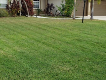 Lawn Care Service in Palmetto, FL, 34221