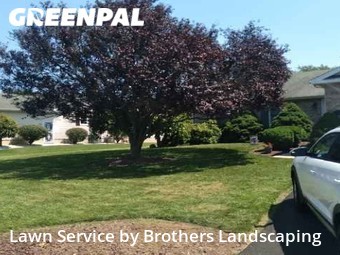 Lawn Cut nearby Bear, DE, 