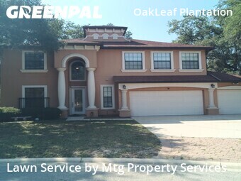Grass Cut nearby Orange Park, FL, 