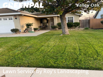 local-lawn-and-landscape-maintenance-services-near-me-in-Pittsburg-CA