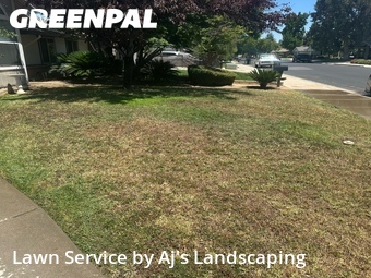 Lawn Care Service nearby Merced, CA, 