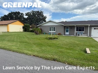 Yard Cutting nearby Lakeland, FL, 