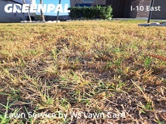 Lawn Service nearby Converse, TX, 