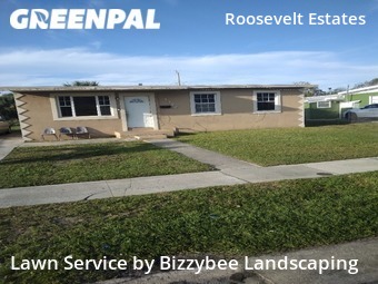 Grass Cut nearby West Palm Beach, FL, 