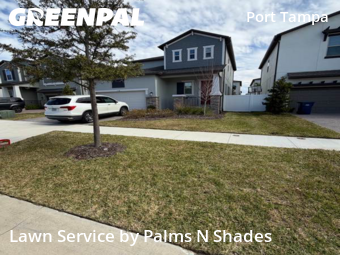 Grass Cut nearby Tampa, FL, 