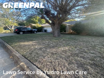 Grass Cut nearby Fort Worth, TX, 