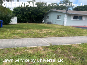Lawn Cutting nearby Hollywood, FL, 