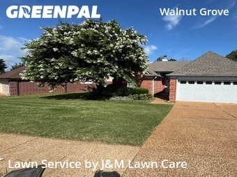 Lawn Cut nearby Memphis, TN, 