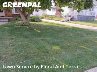 Lawn Mowing Service nearby Eastpointe, MI, 