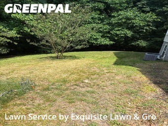 Lawn Mowing nearby Bowie, DC, 