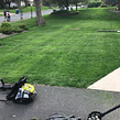 local-lawn-care-services-in-Twin Cities-MN
