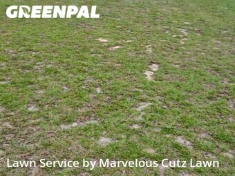 Lawn Mowing Service nearby Columbia, SC, 