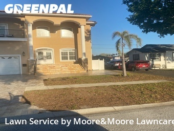 Grass Cut nearby St. Petersburg, FL, 