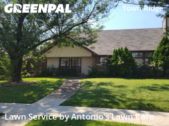 Lawn Cutin Mesquite,75149,Lawn Mowing by Antonio's Lawn Care, work completed in Nov , 2025