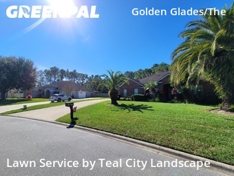 Lawn Carein Jacksonville,32246,Lawn Mowing by Teal City Landscape , work completed in Nov , 2025