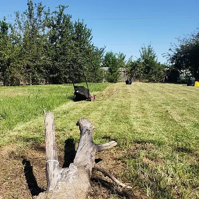 Mercado Mowers LLC Photo 6