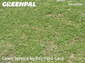 Grass Cut nearby Jacksonville, FL, 