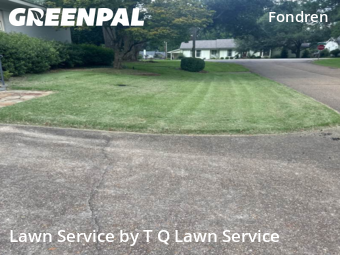 Lawn Cut nearby Jackson, MS, 