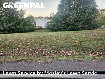 Lawn Mowing Service nearby Clarksville, TN, 