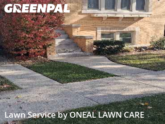 Lawn Maintenance nearby Berwyn, IL, 