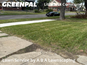 Grass Cut nearby Detroit, MI, 