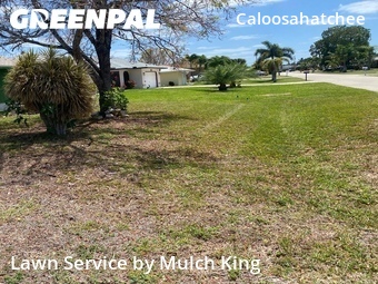 Lawn Cutting nearby Cape Coral, FL, 