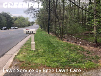 Lawn Cut nearby Rock Hill, NC, 