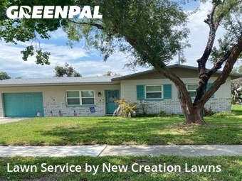 Yard Mowing nearby Brandon, FL, 