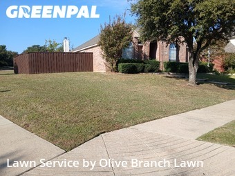 Lawn Cutin Keller,76248,Lawn Cutting by Olive Branch Lawn, work completed in Dec , 2025