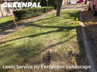 Grass Cut nearby Streamwood, IL, 