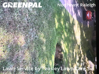 Lawn Care nearby Raleigh, NC, 