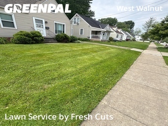 Yard Mowing nearby Painesville, OH, 